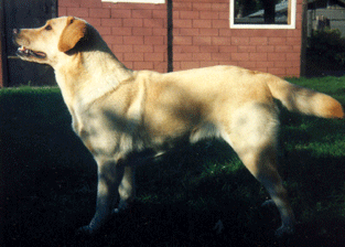 Gioia-von-Reckersbach